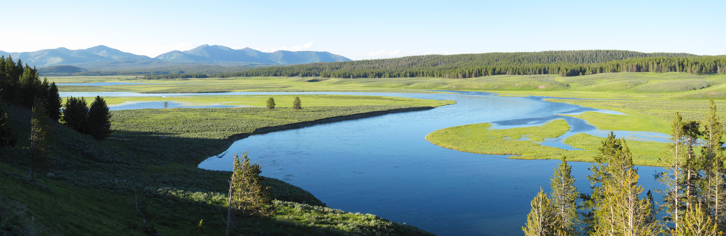 Yellowstone