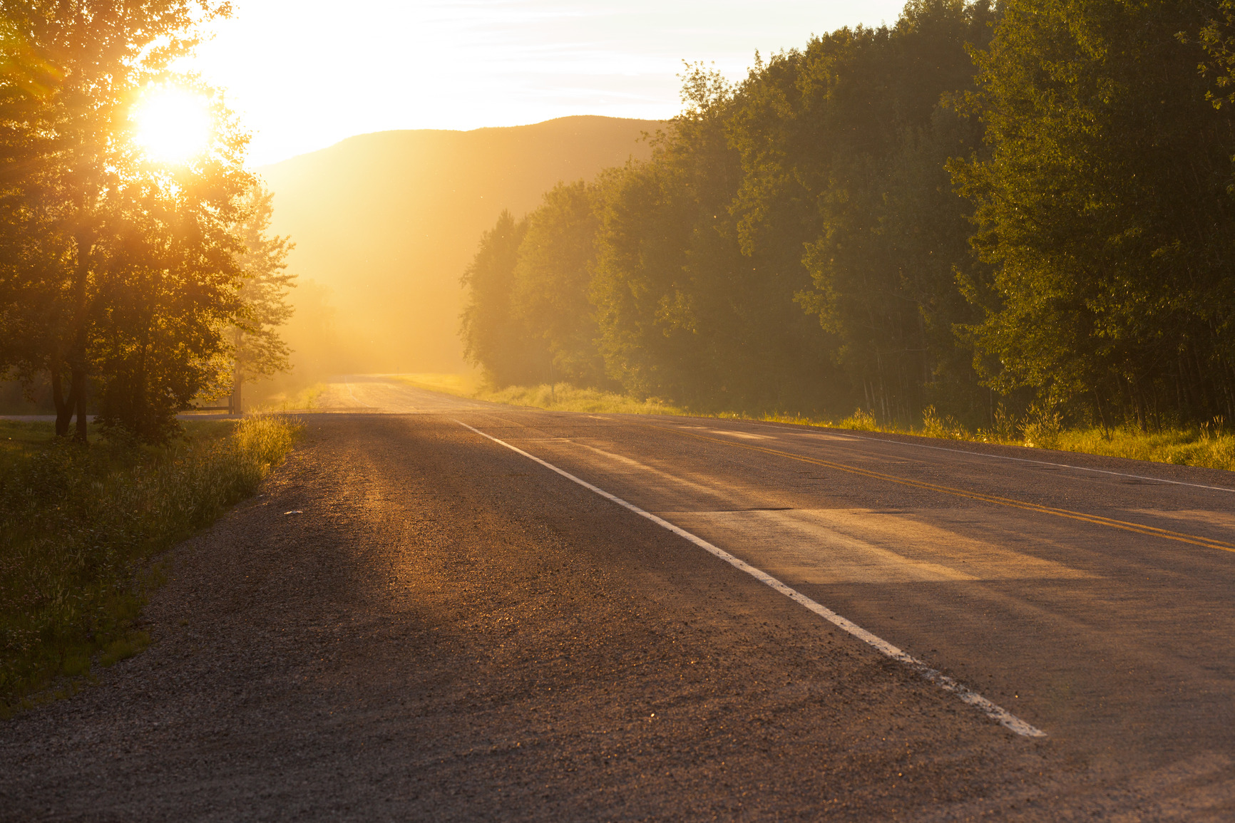Roads Traveled